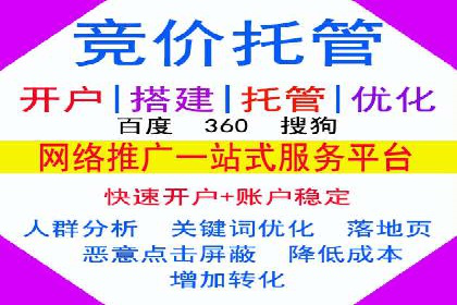 SEM推广代运营案例深度剖析